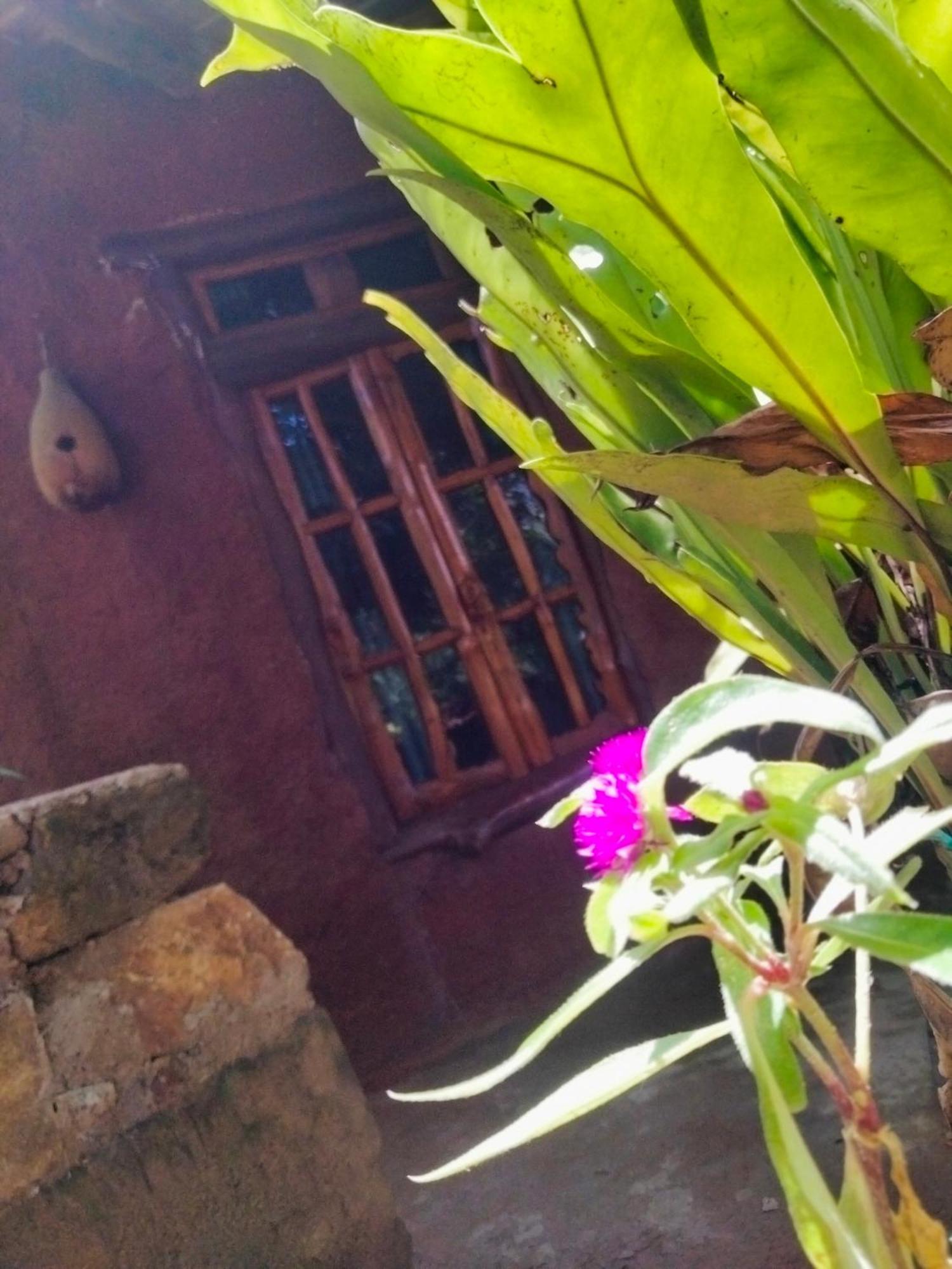 Ella Bay Homestay מראה חיצוני תמונה